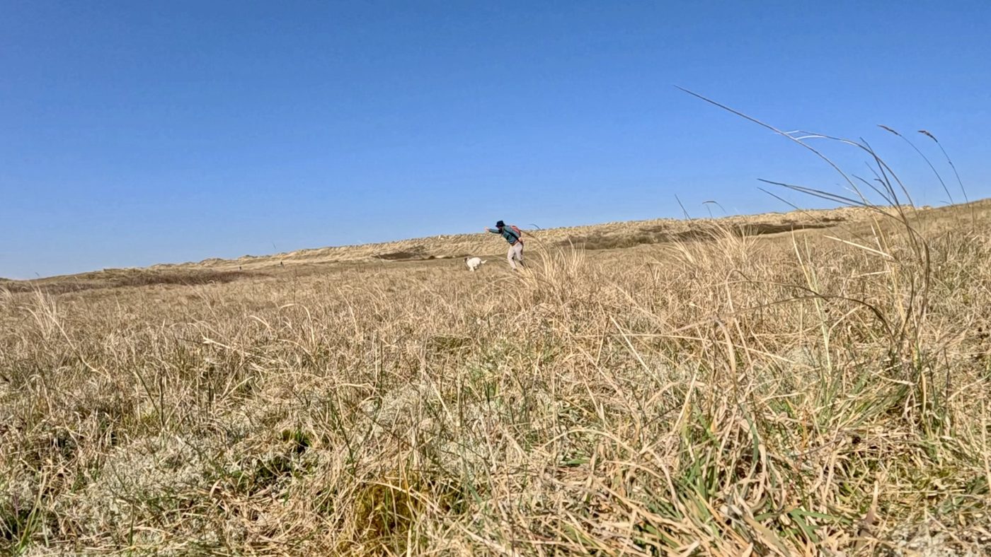 In den Dünen schickt ein Mann seinen Hund mit ausgestrecktem Arm los, der Hund rennt durch das Gras